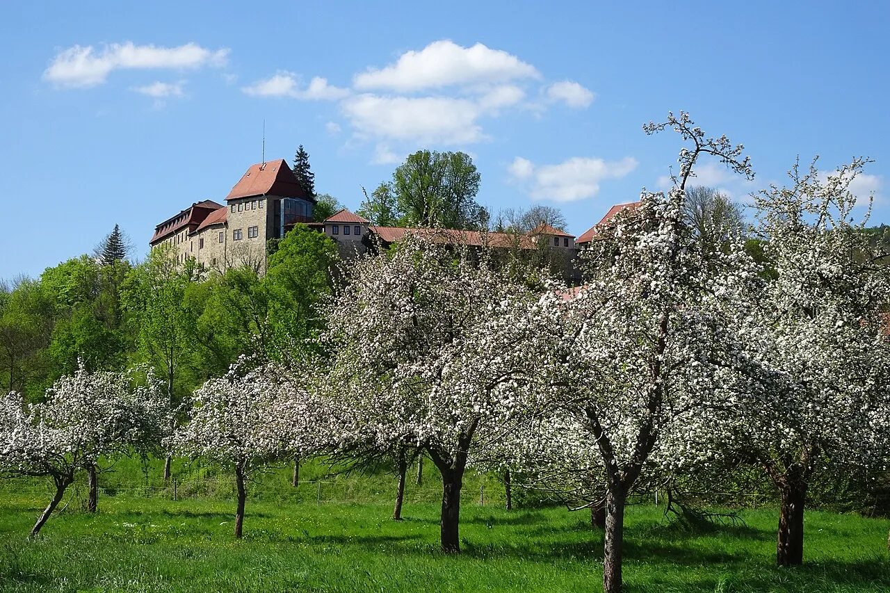 Burg Creuzburg – widok 1