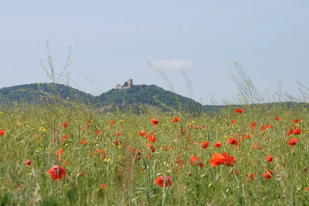 Burgruine Gleichen – widok 3