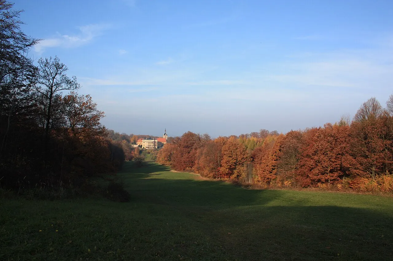 Schloss Ettersburg – widok 4