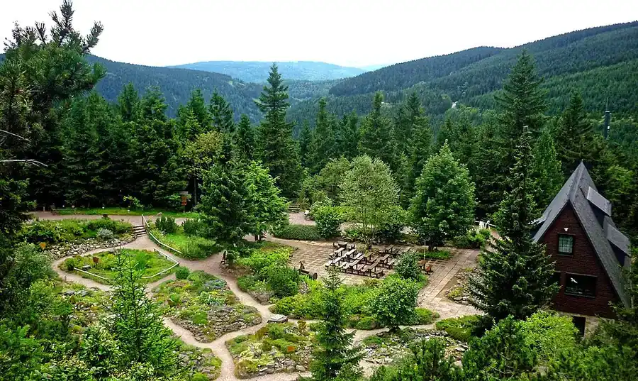 Rennsteiggarten — górski ogród botaniczny.